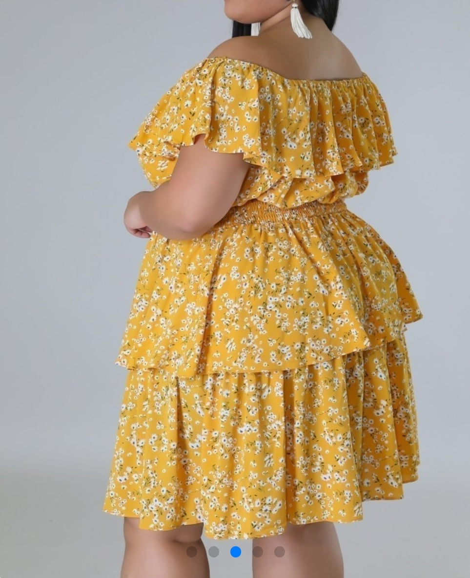 Hello Sunshine layered Dress